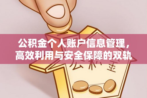 南投市公积金个人账户信息管理，高效利用与安全保障的双轨并行