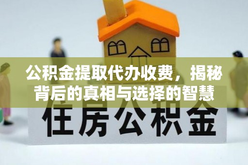 南投市公积金提取代办收费，揭秘背后的真相与选择的智慧