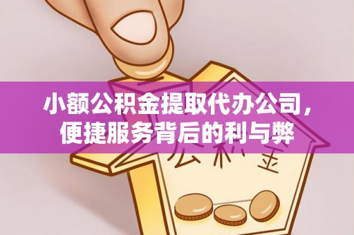 南投市小额公积金提取代办公司，便捷服务背后的利与弊
