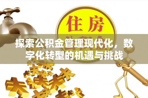 南投市探索公积金管理现代化，数字化转型的机遇与挑战