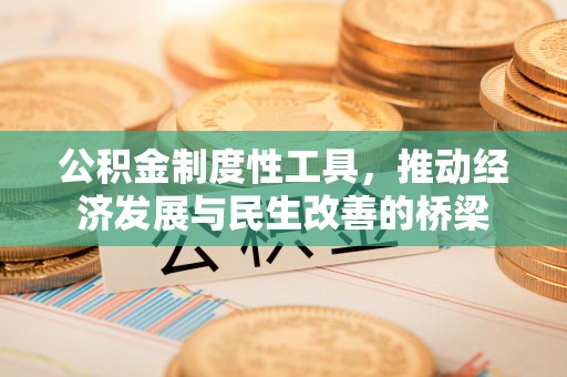 南投市公积金制度性工具，推动经济发展与民生改善的桥梁