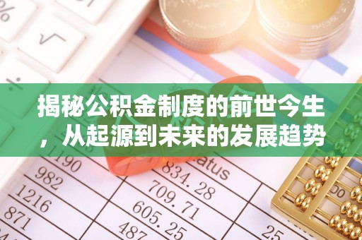 南投市揭秘公积金制度的前世今生，从起源到未来的发展趋势