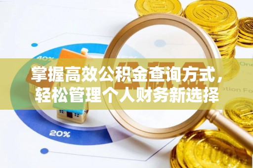 南投市掌握高效公积金查询方式，轻松管理个人财务新选择