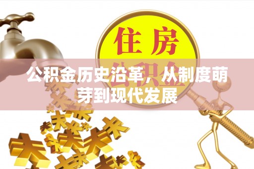 南投市公积金历史沿革，从制度萌芽到现代发展