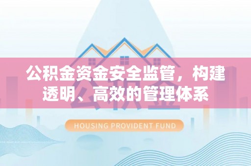 南投市公积金资金安全监管，构建透明、高效的管理体系