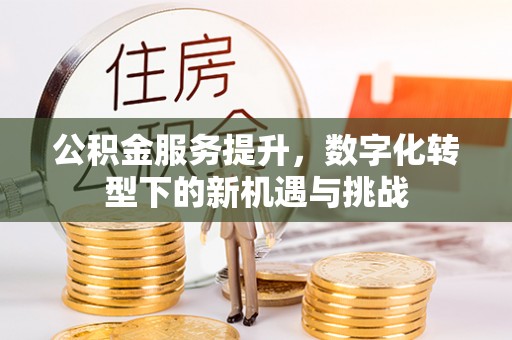 南投市公积金服务提升，数字化转型下的新机遇与挑战