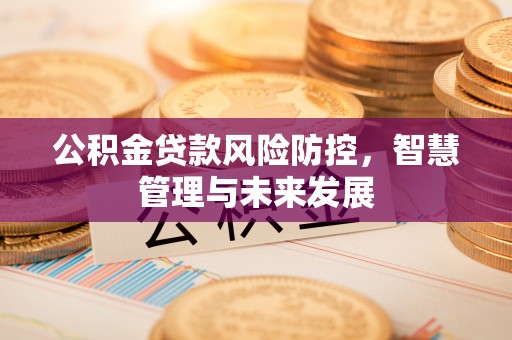 南投市公积金贷款风险防控，智慧管理与未来发展