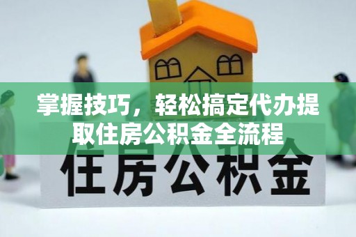 南投市掌握技巧，轻松搞定代办提取住房公积金全流程