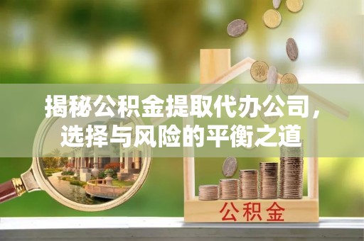 南投市揭秘公积金提取代办公司，选择与风险的平衡之道