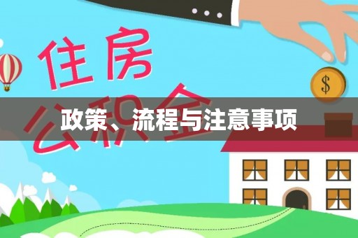 南投市政策、流程与注意事项