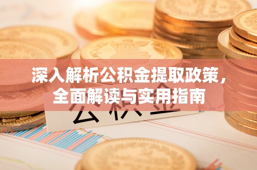 南投市深入解析公积金提取政策，全面解读与实用指南