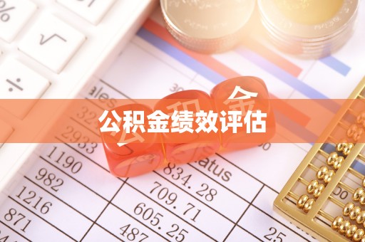 南投市公积金绩效评估