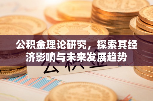 南投市公积金理论研究，探索其经济影响与未来发展趋势