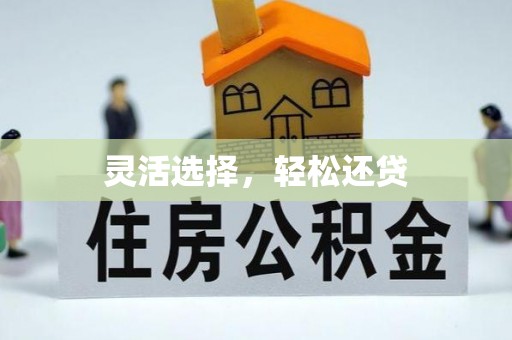 南投市灵活选择，轻松还贷