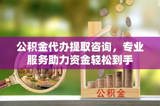 南投市公积金代办提取咨询，专业服务助力资金轻松到手