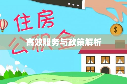 南投市高效服务与政策解析
