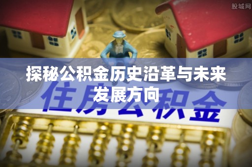 南投市探秘公积金历史沿革与未来发展方向