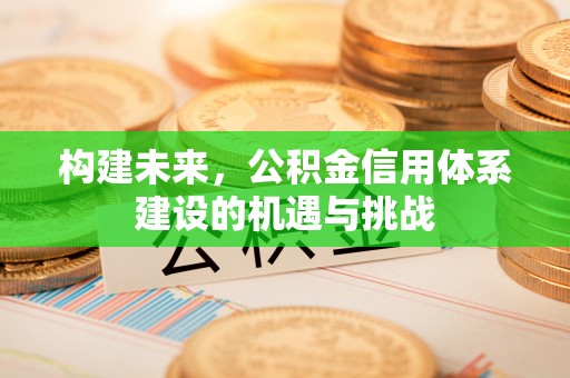 南投市构建未来，公积金信用体系建设的机遇与挑战