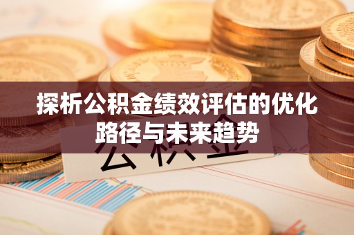 南投市探析公积金绩效评估的优化路径与未来趋势