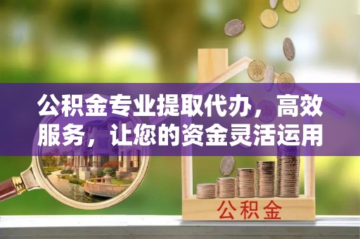 南投市公积金专业提取代办，高效服务，让您的资金灵活运用