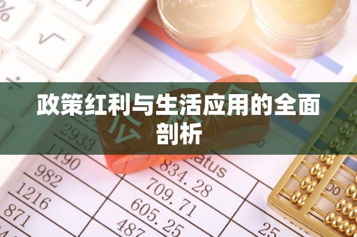 南投市政策红利与生活应用的全面剖析