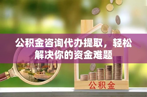 南投市公积金咨询代办提取，轻松解决你的资金难题