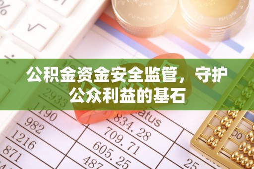 南投市公积金资金安全监管，守护公众利益的基石
