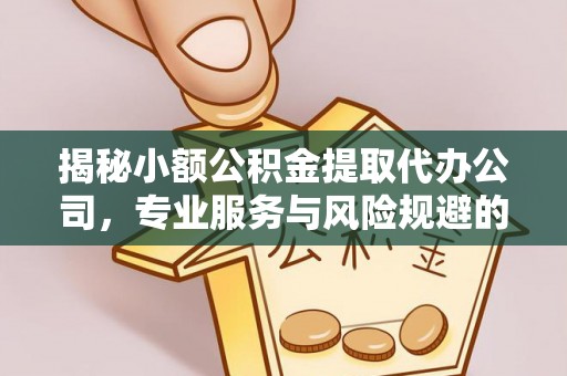 南投市揭秘小额公积金提取代办公司，专业服务与风险规避的平衡艺术