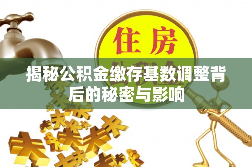 南投市揭秘公积金缴存基数调整背后的秘密与影响