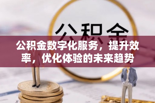 南投市公积金数字化服务，提升效率，优化体验的未来趋势