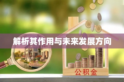 南投市解析其作用与未来发展方向