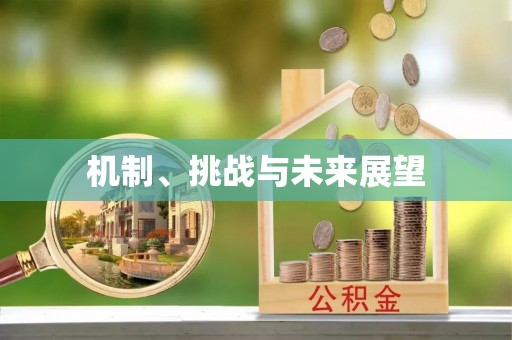 南投市机制、挑战与未来展望