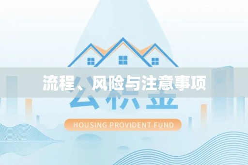 南投市流程、风险与注意事项